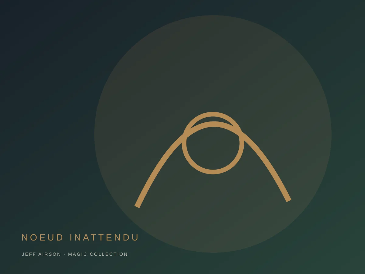 Photo du produit Le Nœud Inattendu